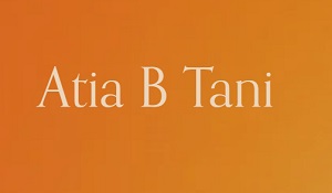 Elephant in the room counselling